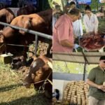 Iduladha 1447 H, JNE dan TIKI Tebar Keberkahan Lewat 30 Sapi Kurban dan Promo Menarik