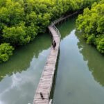 Cuma 10 ribu! Menjelajahi Jembatan Kayu Estetik Hutan Mangrove Bali. Destinasi Tersembunyi di Kuta buat Liburan Akhir Pekan