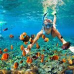 Yuk Cobain! 9+ Aktivitas Liburan di Sanur, Surganya Wisata Air dari Diving hingga Berselancar
