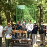 Penyelundupan 124 Ekor Burung di Pelabuhan Gilimanuk Digagalkan