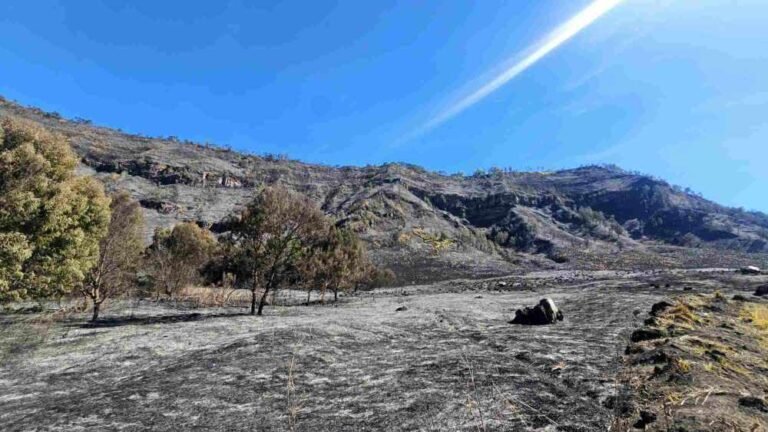 Kebakaran Bromo, Kementerian Pariwisata Dukung Penutupan Sementara dan Siapkan Opsi Refund Wisatawan