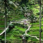 Bikin Bangga! Bali Masuk 10 Besar Destinasi Solo Traveling Dunia Terbaik, Peringkat 2 di Asia