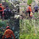 Dilaporkan Hilang, Tim SAR Gabungan Temukan Pria 83 Tahun dalam Kondisi Linglung