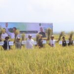 Dorong Hasil Panen Melimpah, Bupati Kembang Ajak Petani Maksimalkan PM-AAS