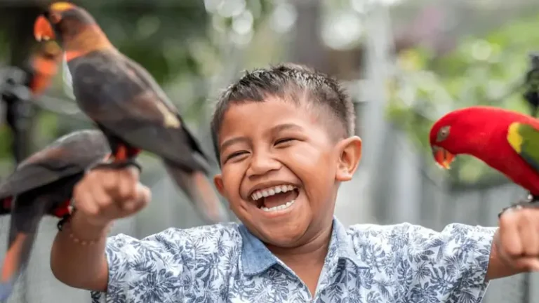 7 Aktivitas Seru yang Wajib Dicoba di Bali Bird Park Destinasi Liburan Favorit Keluarga  