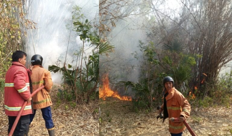 Lahan Bambu Terbakar di Jembrana, Pemadam Habiskan 16.500 Liter Air